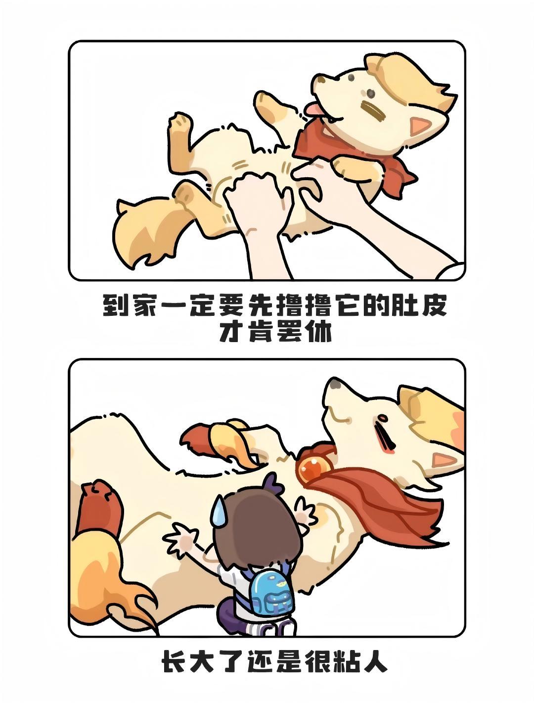 原来成长一直都有它们陪着✨ 2