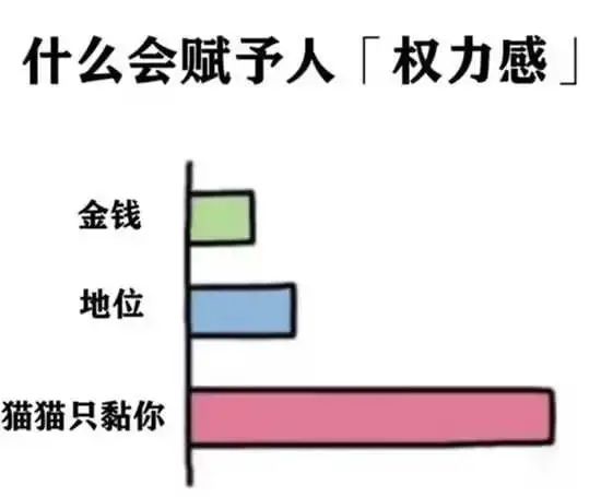 今日份梗图分享 2