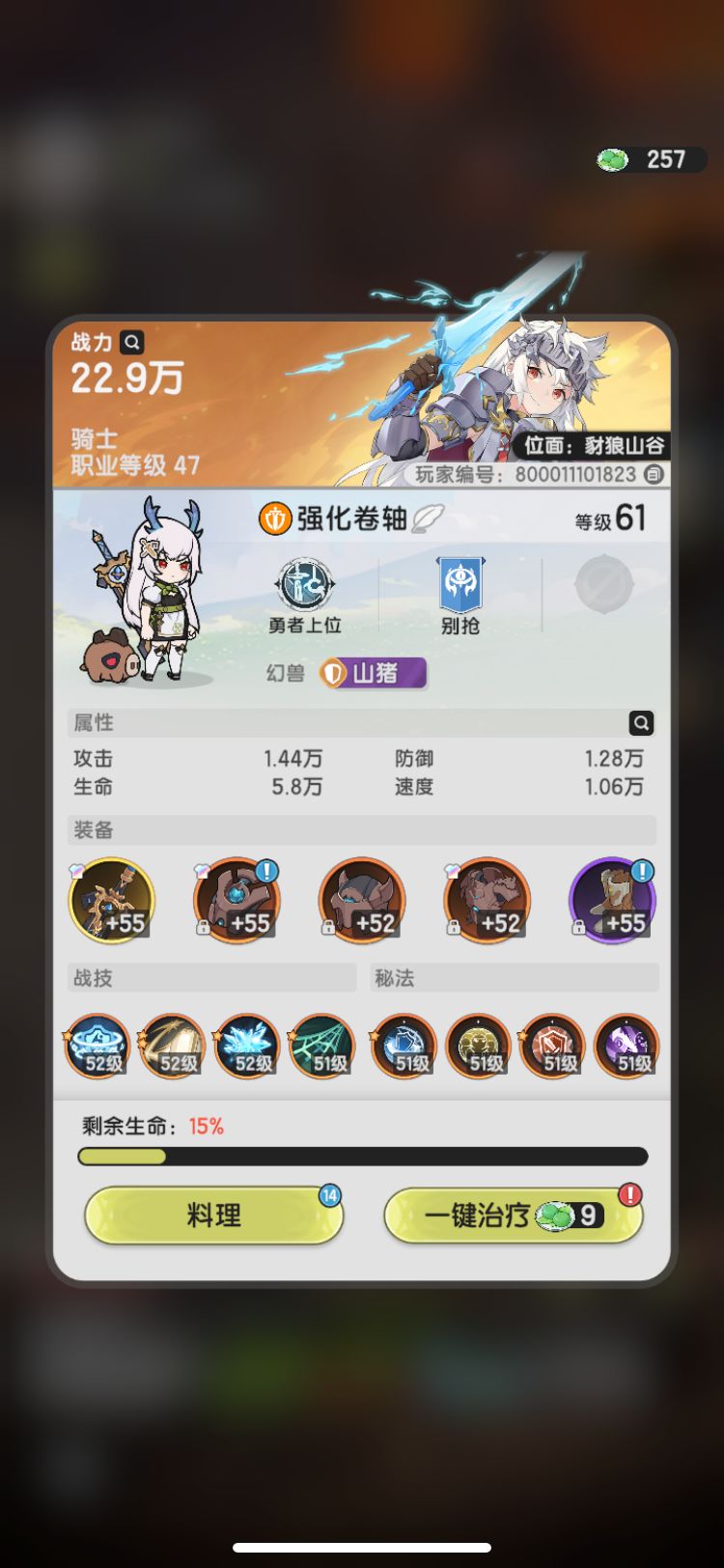 (低战开图)一套山国比较合适骑士开图搭配 3
