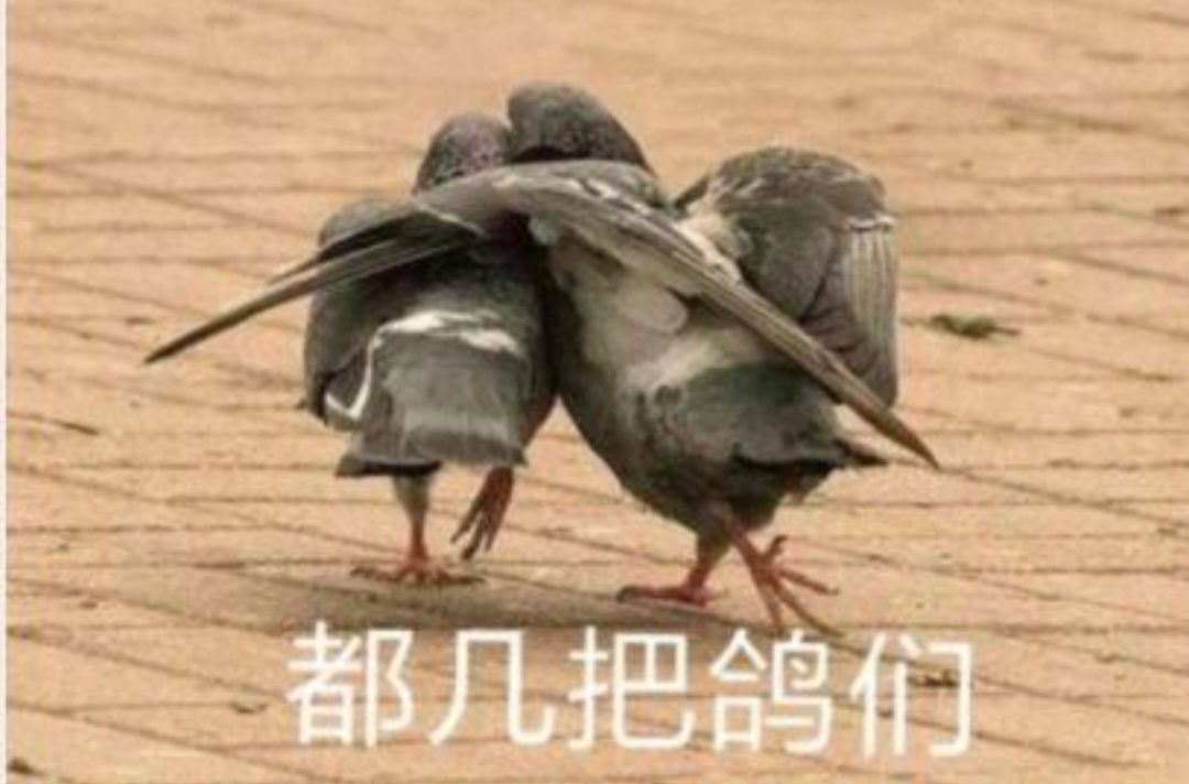 求配队,人物在封面后面,怕被ban了 1