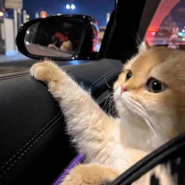 之前跑路的游戏截图