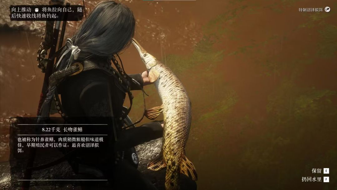 下辈子还选金鱼 2