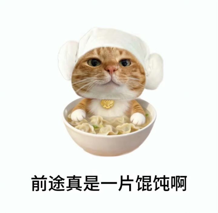 我靠,我火了!发个更新计划安排截图