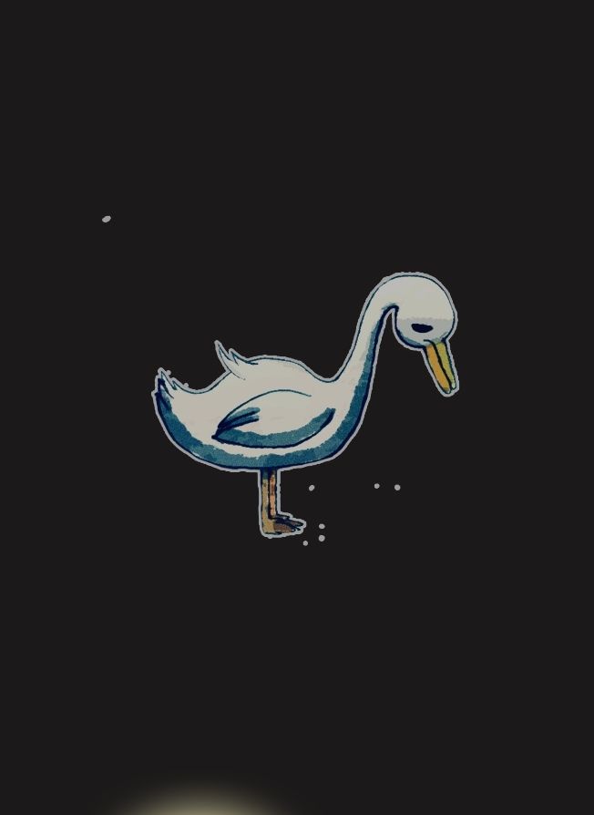 为一只鸭子的死亡流泪 2