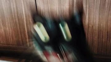 能不能优化下拍照系统