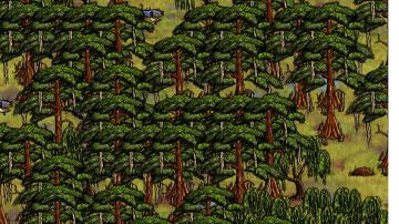 250423国际服日常