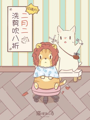 猫咪和汤丨二月二，猫猫也想剃头！