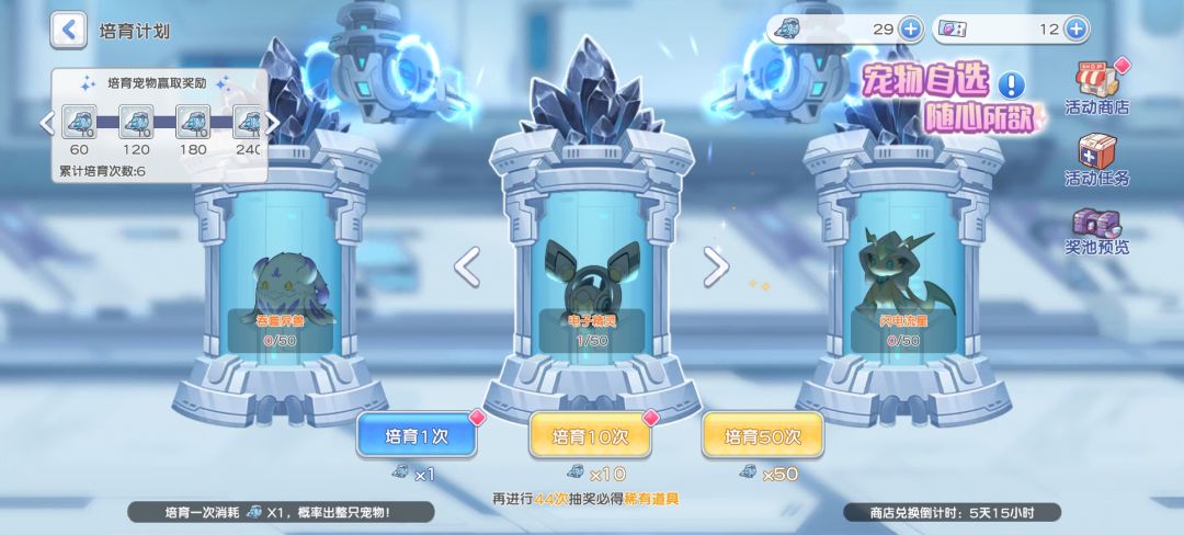 宠物 1