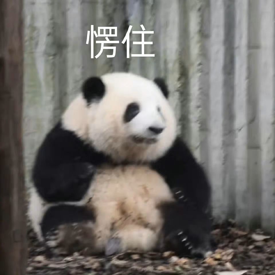 感受到扫雷的爱 2