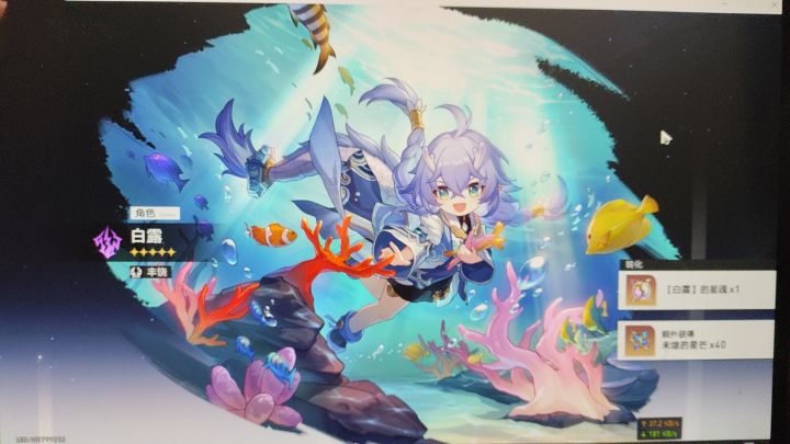 我家知更鸟有点可爱截图