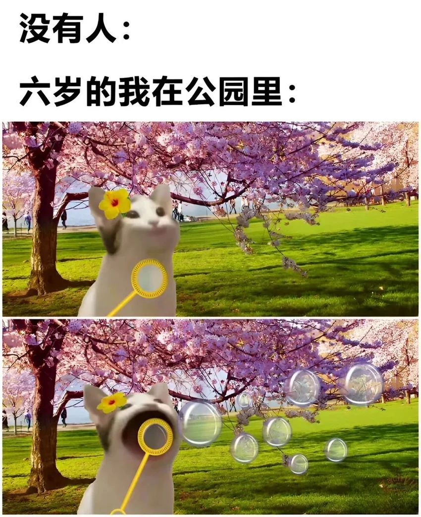 ✨今日份梗图分享第八十一期✨ 1