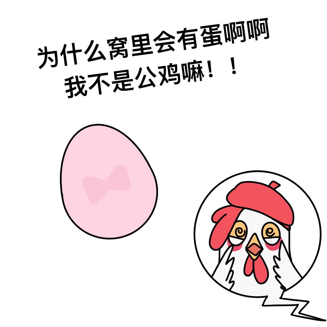 画帽鸡 3