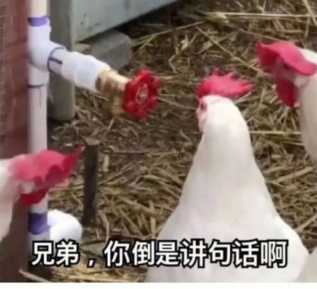 绿色侠客掉紫色功法挺合理的 2