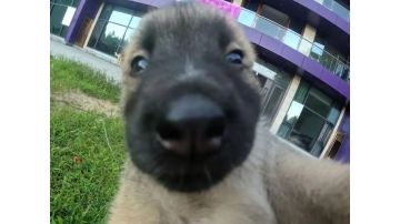 毁灭攻略（主t撞血球，副t接拉打法。非大区主流打法）