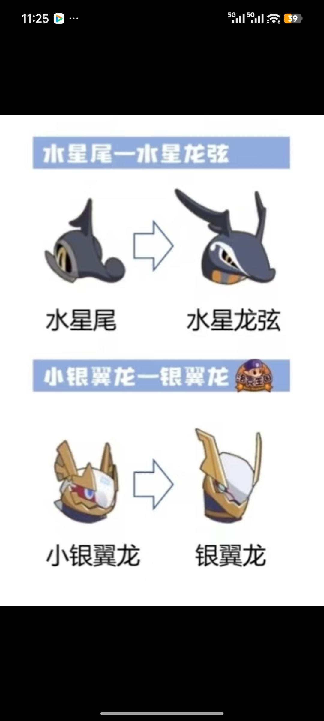 我选水龙 1