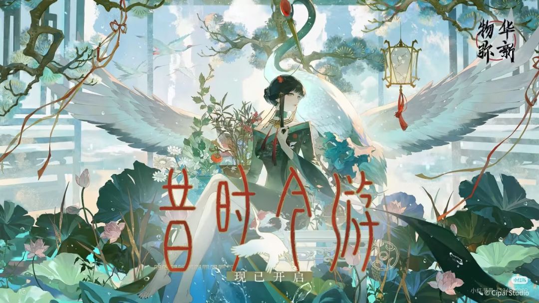 动态图片 13