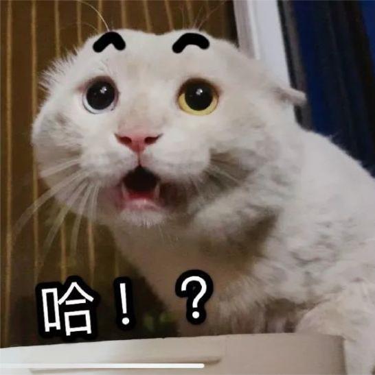 锁敌头像怎么失效了 1