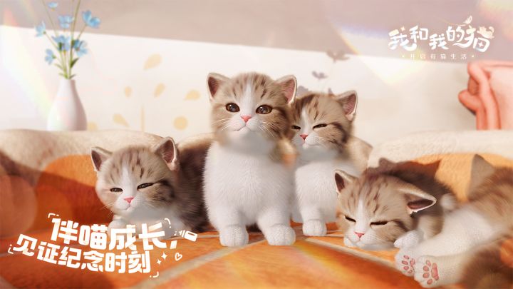 爱猫人士福音来啦🐱🐱🐱截图