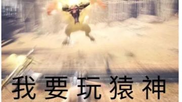 星光高台密传之别带猿神节奏