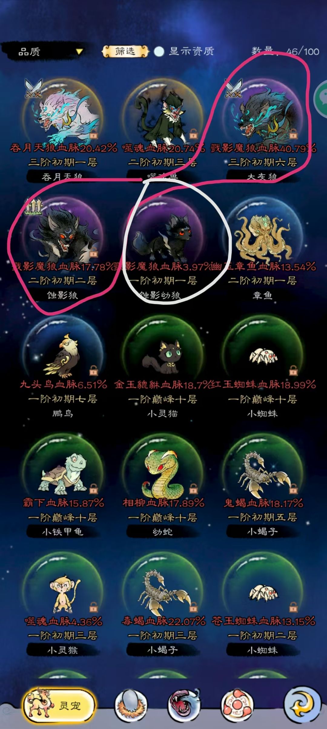 灵兽培养，资深道友分享（三）截图