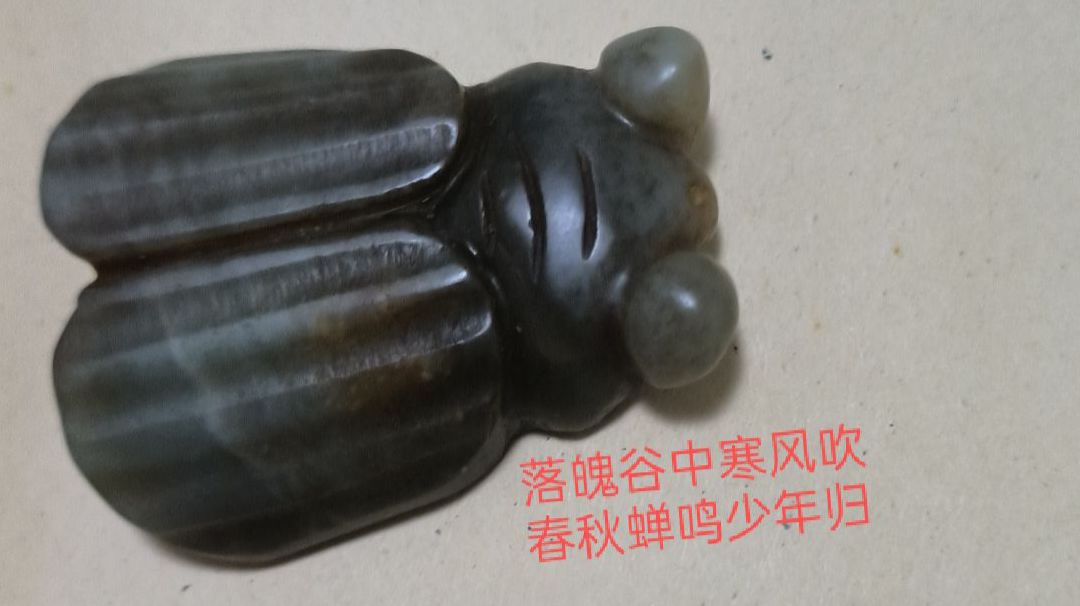 6w内功我为何选择洗髓截图