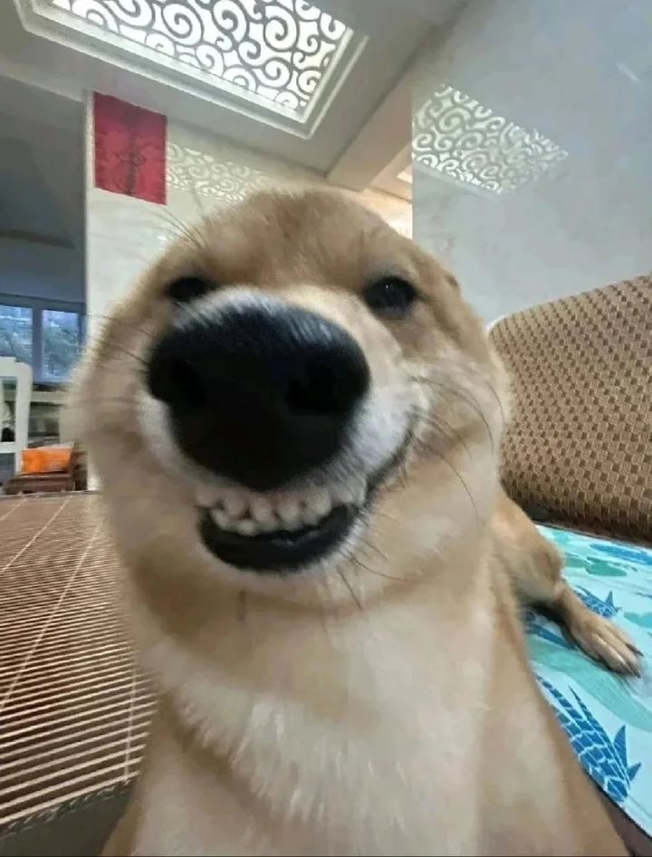 加快进度截图