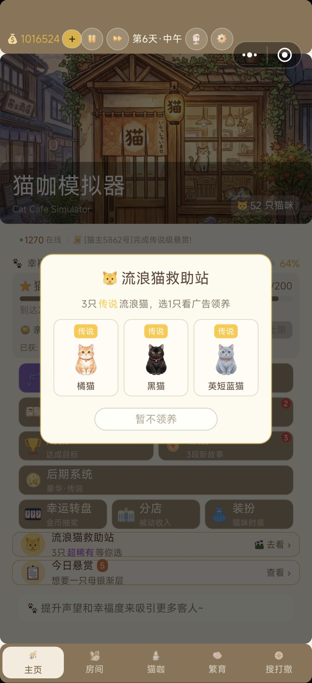 繁育祝福、流浪猫救助站加强 2