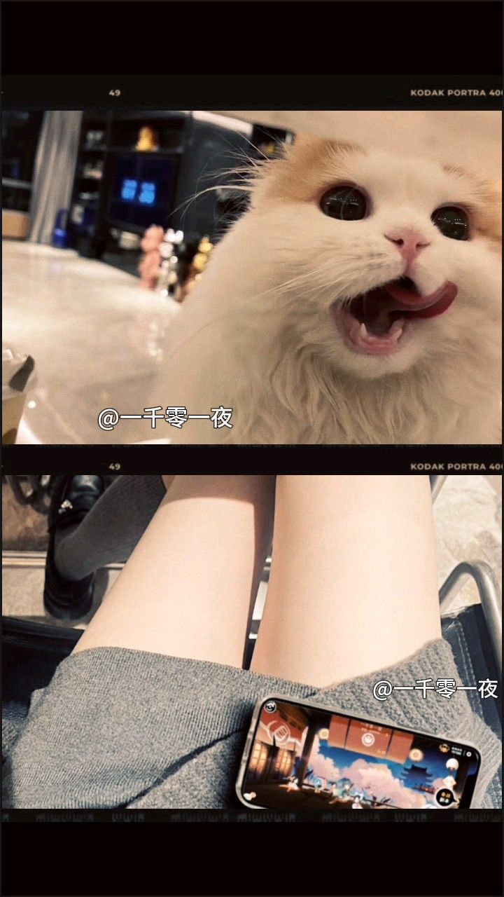 一区欢迎各路大佬来玩深渊 3