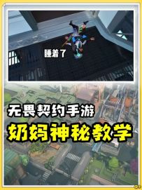 奶妈的顶级思路，学会顶分局你也能游龙