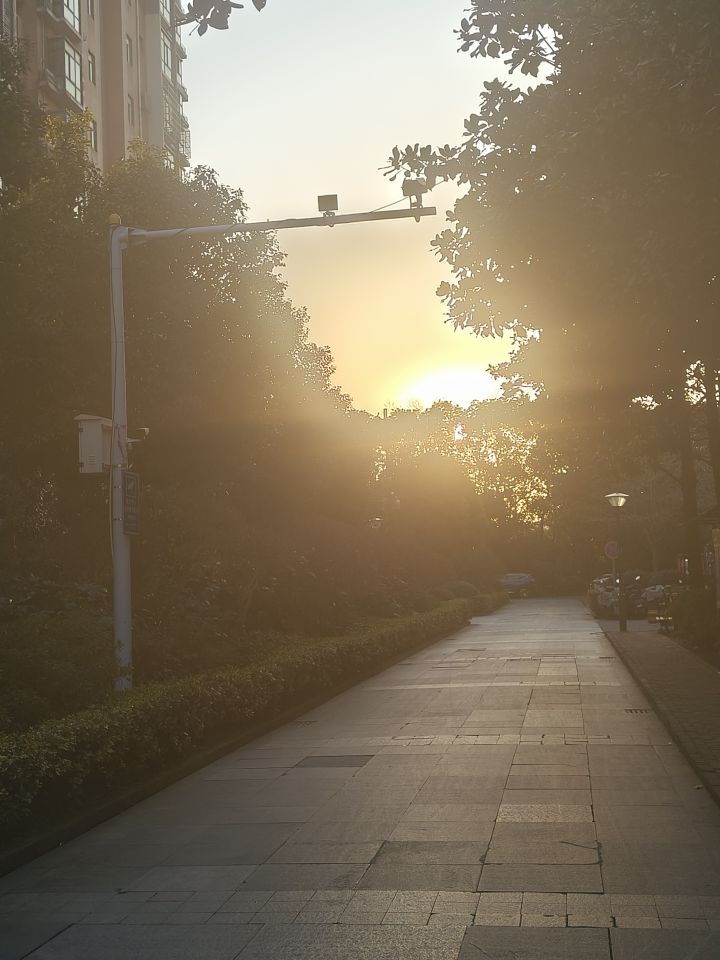 找v区搭子截图