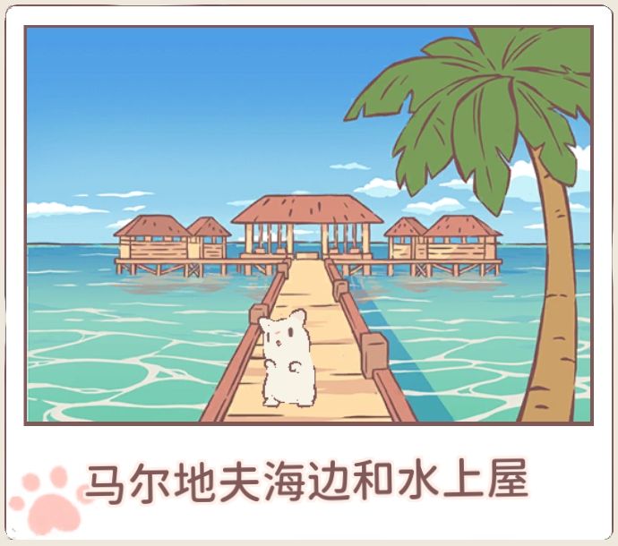 猫咪和汤 1