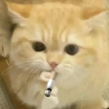 守护者‘不朽者’皮肤首次登场！