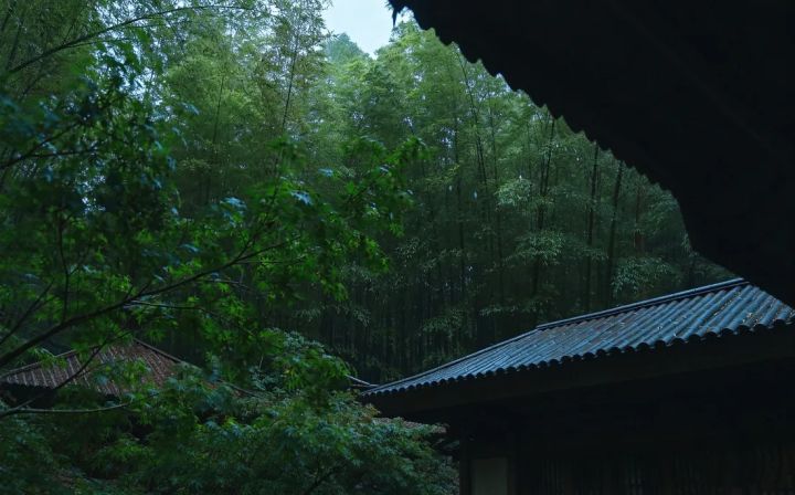 梧桐一叶落,天下尽知秋。
雨,一阵阵打梧桐叶凋;一点点滴人心碎了。截图