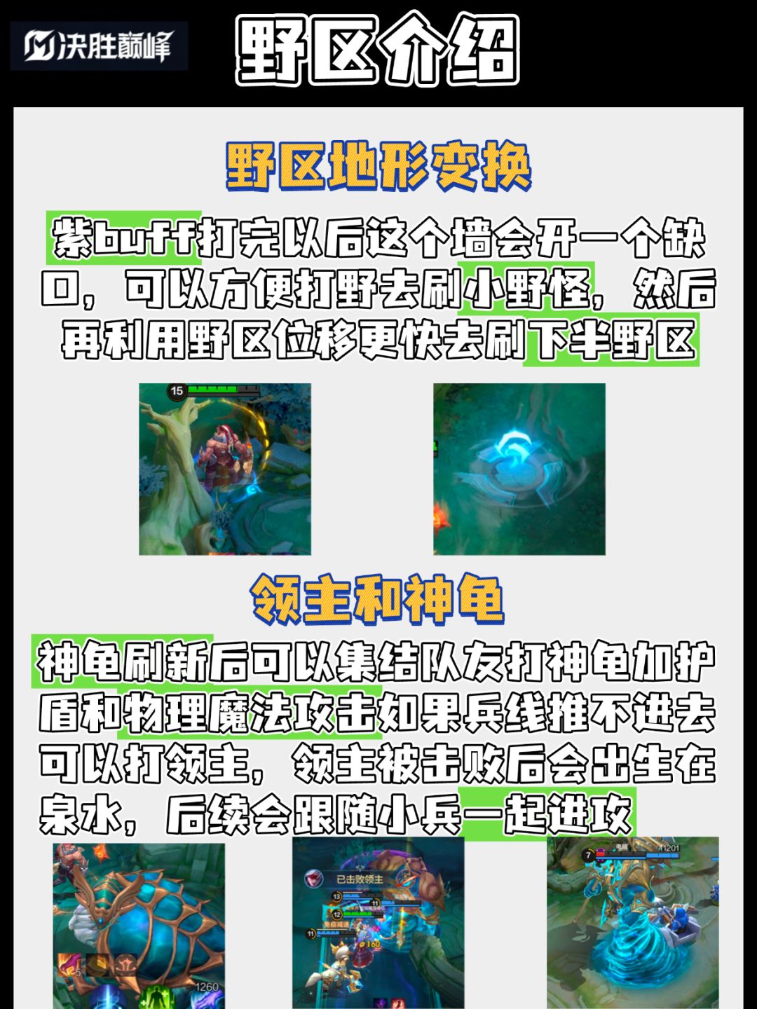 ✨决胜巅峰新玩家打野如何玩以及野区介绍✨ 3