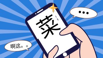 【菜鸟进化论】从青铜到氪金大佬的爆笑生存指南