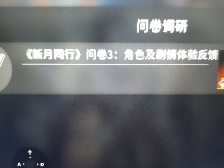 流氓问卷截图