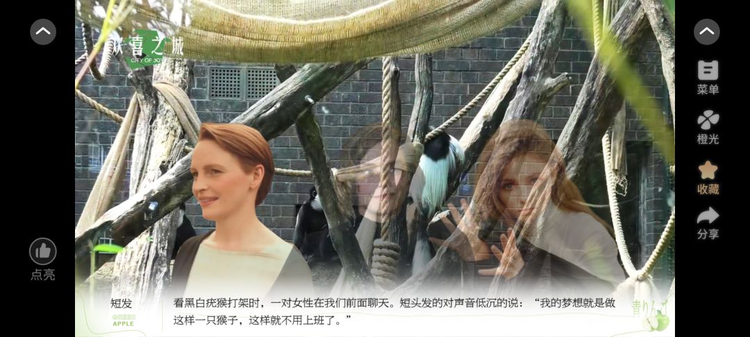 欢喜之城5截图