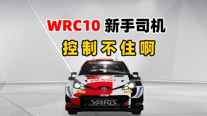 《WRC10》新手司机上路:不是在撞车,就是在翻车的路上!截图