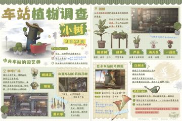 小树生日快乐 | 车站热传植物鉴定