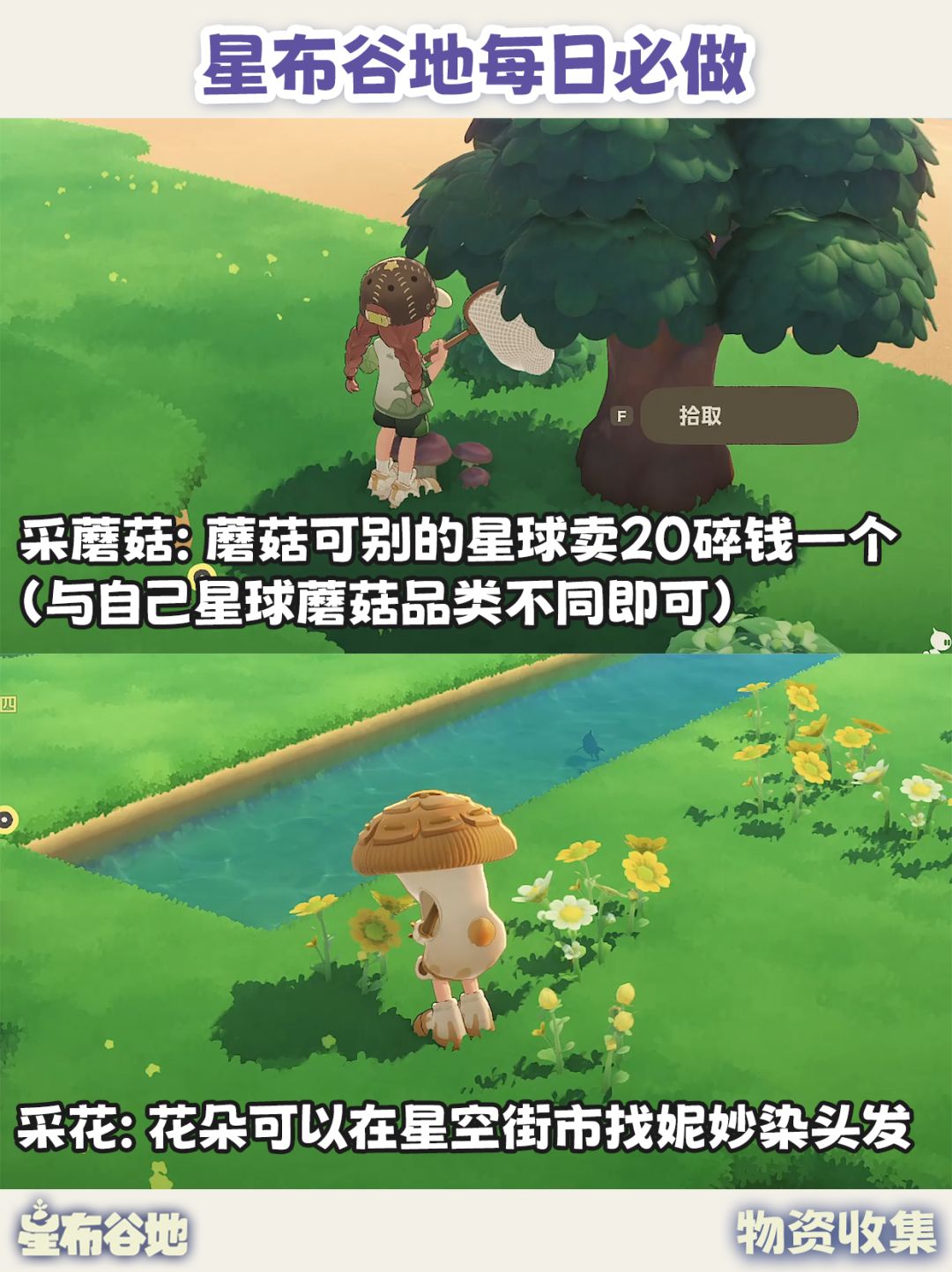 星布谷地每日必做|每天清完 奖励不漏拿! 10
