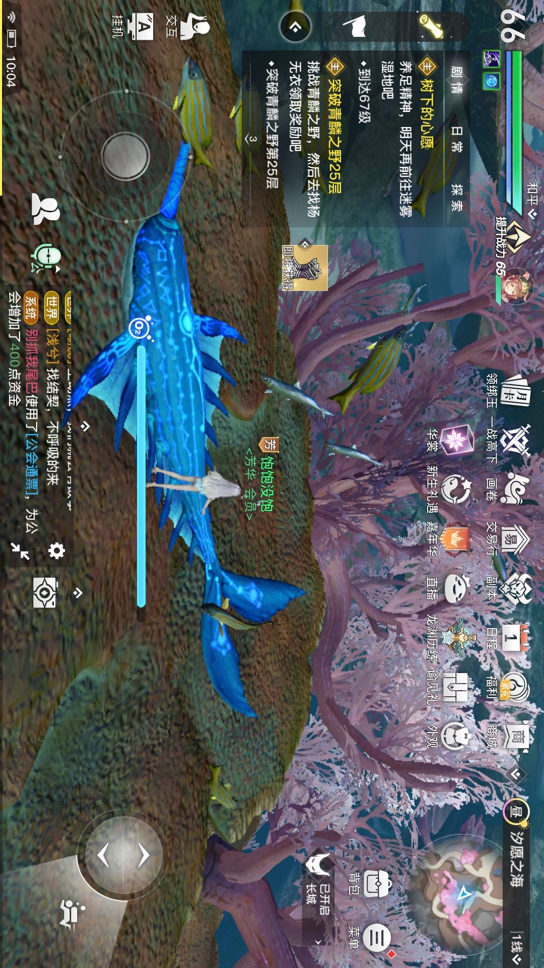 动态图片 2