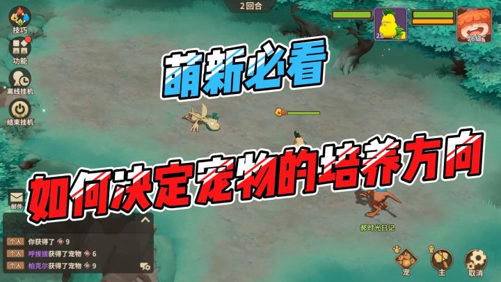 萌新必看——如何决定宠物的培养方向？截图