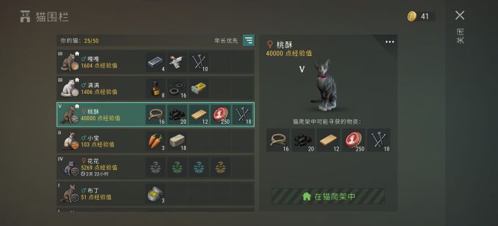 这瓶盖猫简直超模的离谱截图