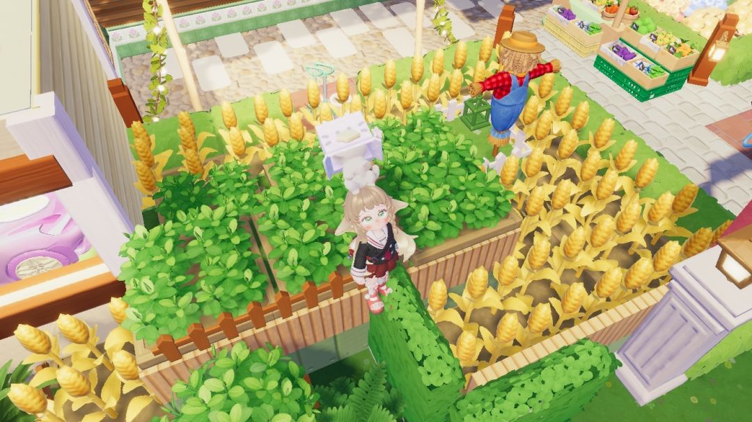 高空种菜 1