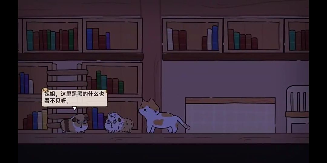大橘家里多日游🐱搜寻“老大”👀 6
