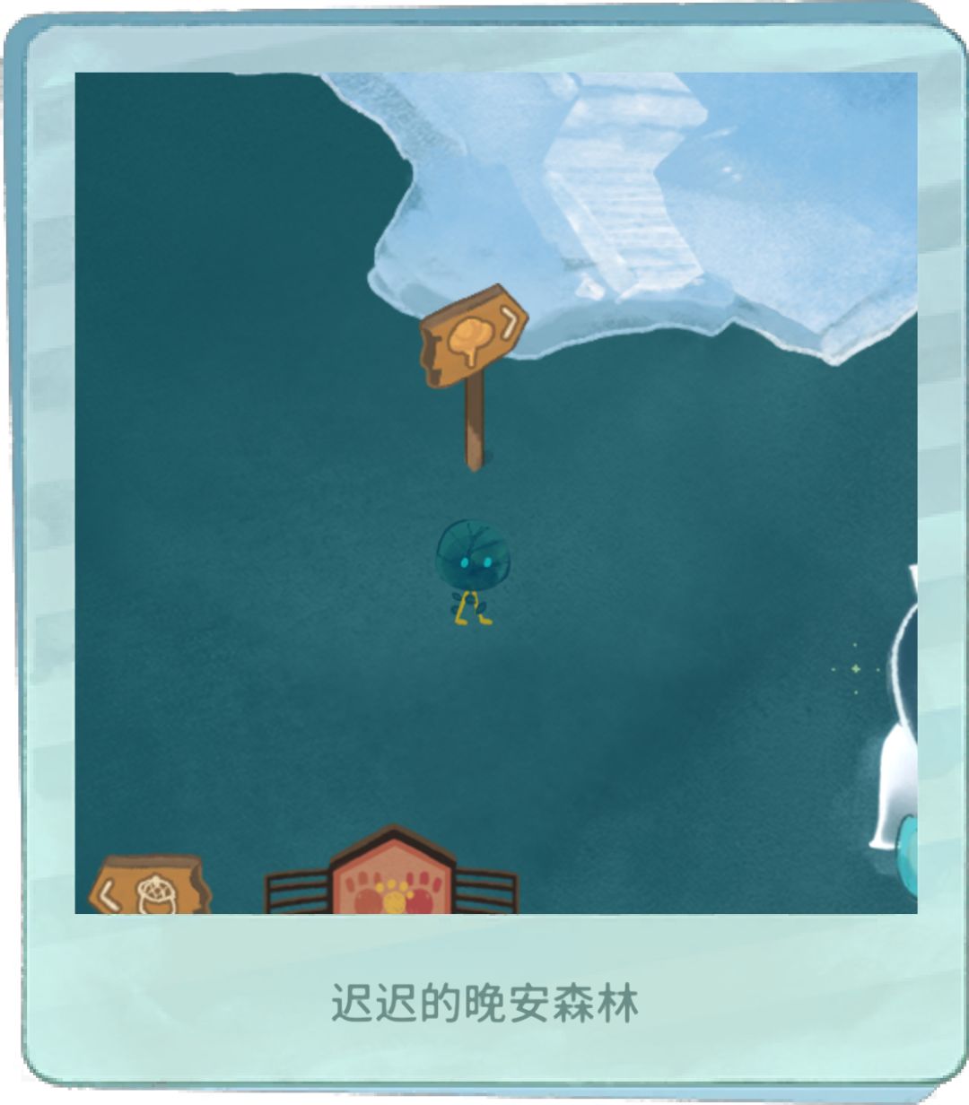 小动物赏 6