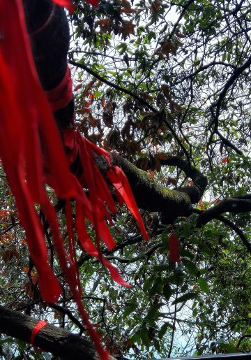 华为全球购8.24-8.25（已更完）