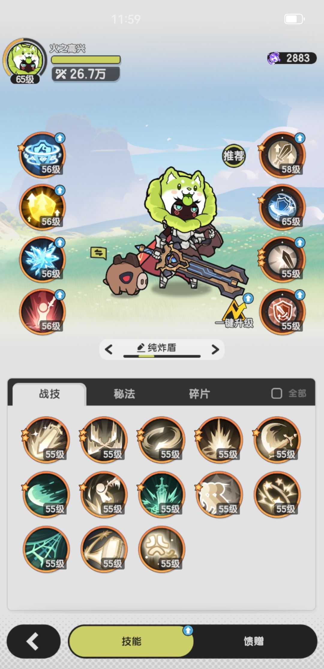 法伤炸盾骑士PVE越10万过图 2
