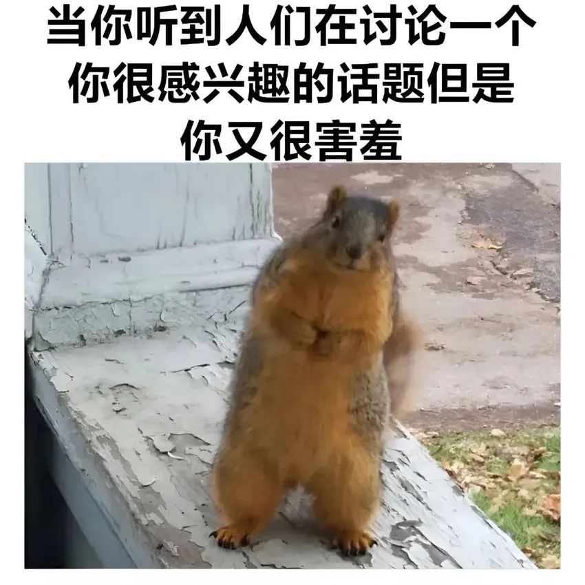 ✨今日份梗图分享第四十三期✨ 1