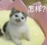 房杜真强,😭直接改变我的新人坐牢时光 1